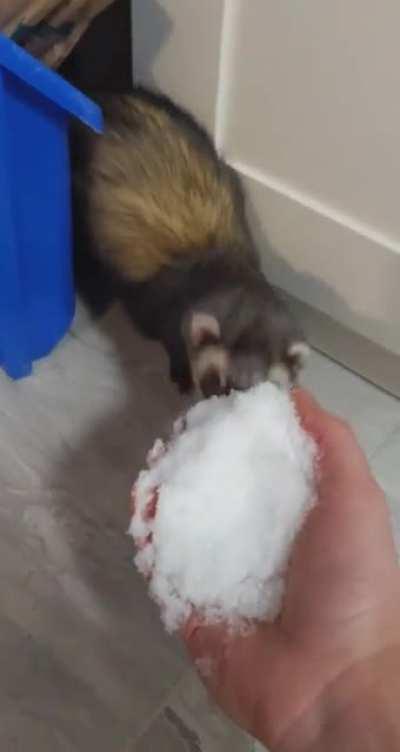 I Honestly Don't Know What he was Expecting