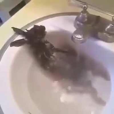 Cursed_bath