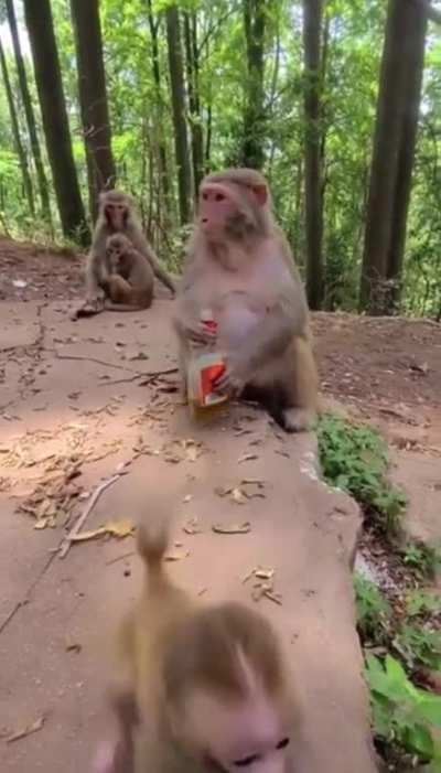 My childhood be like this