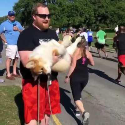 Guy offers fluffy doggo belly as motivation for runners