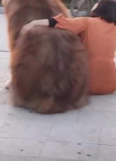 A HUGE friend of mine !