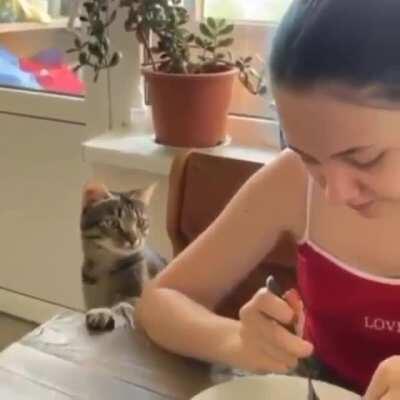 Who can deny such polite request?