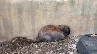 My digger has made a hole!