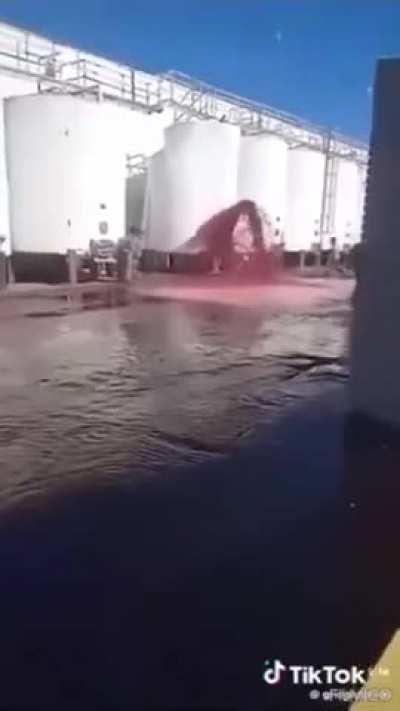 Derrame de vino en una bodega de Mendoza