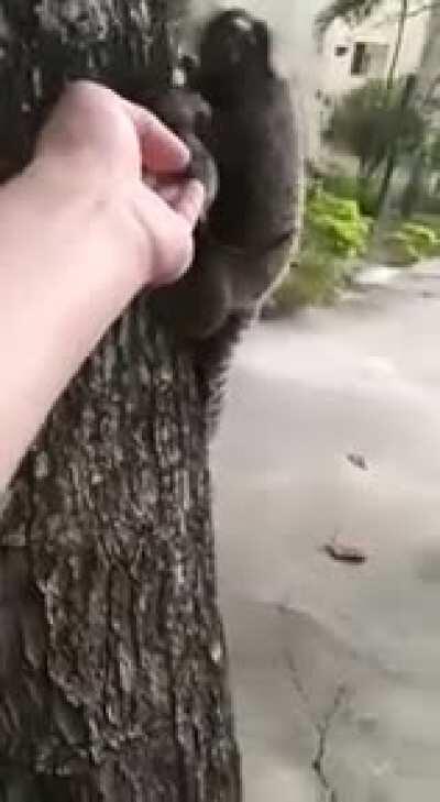 Be kind to all creatures