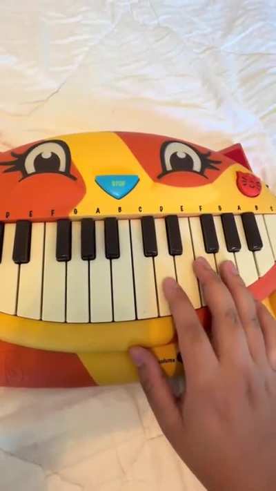 Laura Purrmer's Theme