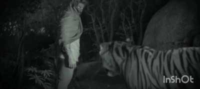 Tondarga eh hero eh animal oh decide ayyi cheppandi. Simham matram 🏀 ayya adhi fixuuu