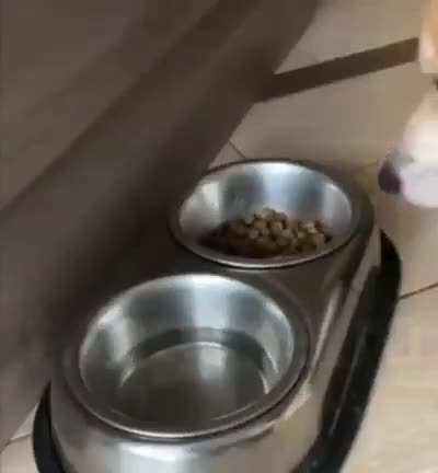 He's trying his best