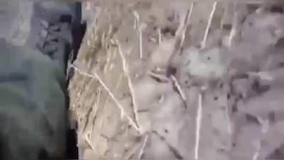 The missile did not leave the launch container.