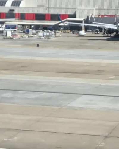 A wild luggage in its natural habitat