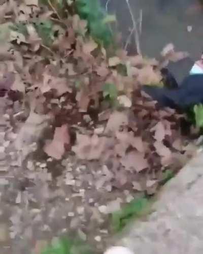 The way he fell in the water is simply beautiful