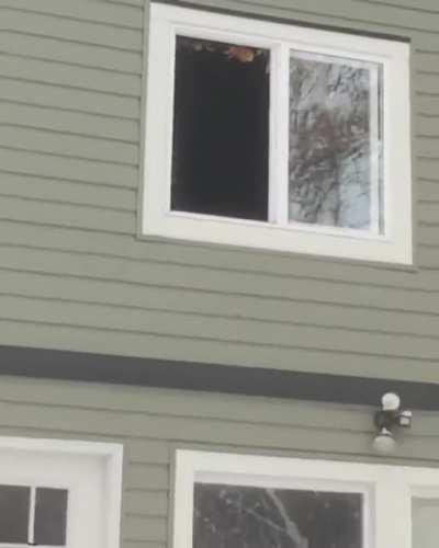 Front flip out the upstairs window
