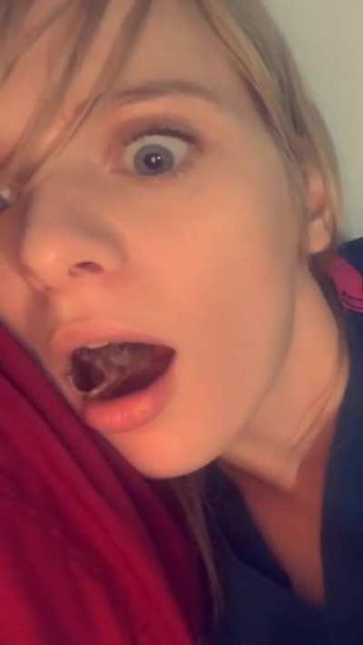 I think that chickens dream job is to become a chicken nuggets