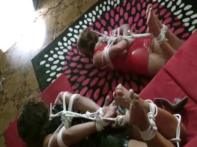 Hogtied in latex