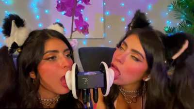 CorneliustheCat ASMR ear liсking