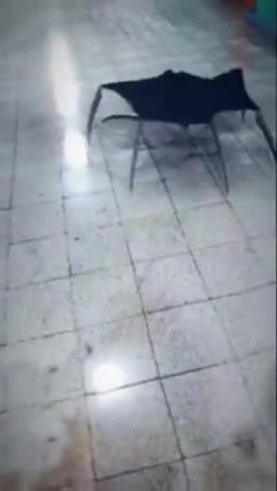 They had me cornered, with no way out ... it was necessary to use it. Now he's on the loose, God help us if we run into him on the way.