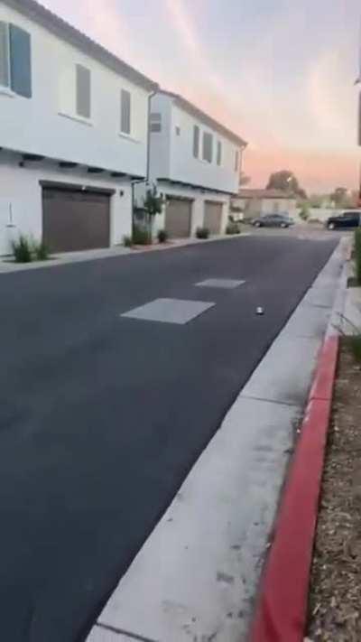 wismichu - Video #4613