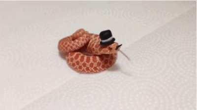 Hisses with moustache