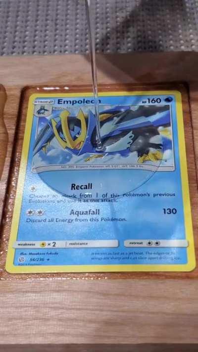 Water Pokemon Wood Switch Case