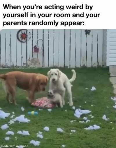 What the heck are you doing here?