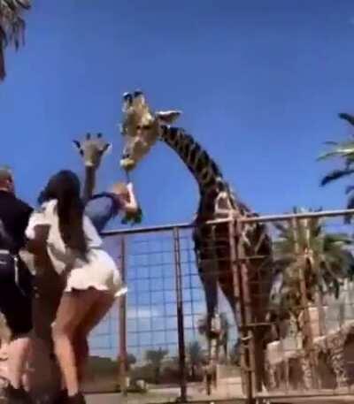 Straight up terror — until