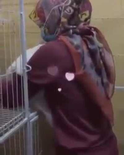 Cat adopted me too.... 💞