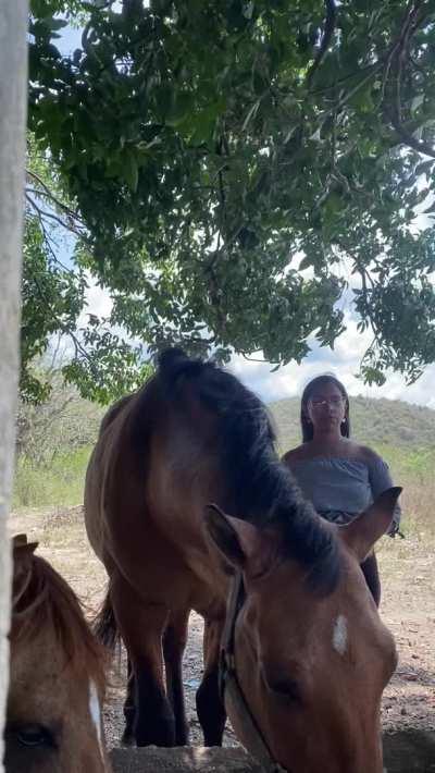 after that me and the farmer had sex