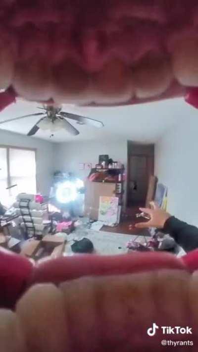 Thanks, I hate mouth cameras