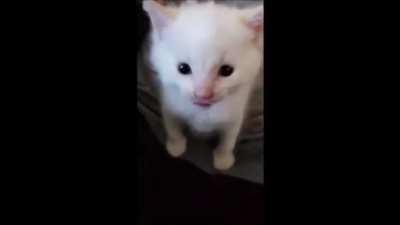 Tunak Tunak Muta full version coming soon as requested XOXOX