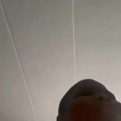 Dad about to ate some pussy cat