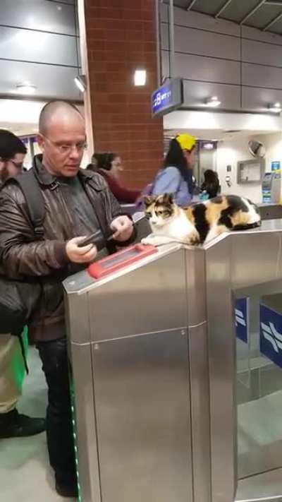 Security kitty at a train station