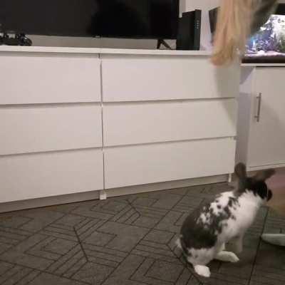 Just showing how smart buns can be