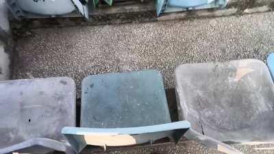 [Late post] Hospitality of Feroz shah kotla