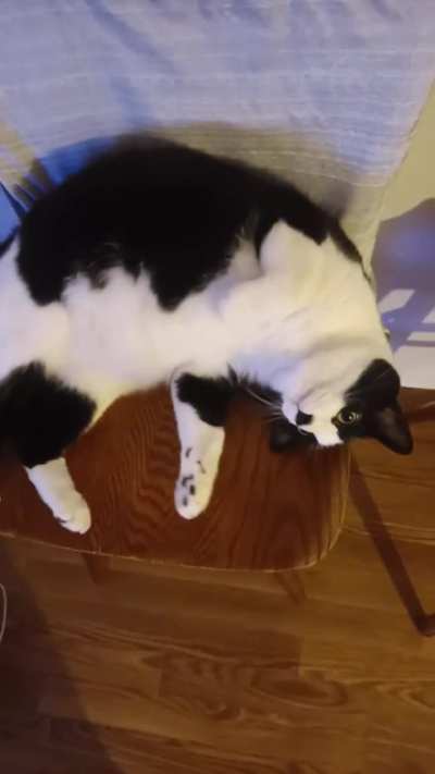 Lilah's reaction at the end 🤣 some just don't appreciate the are of the bingos.