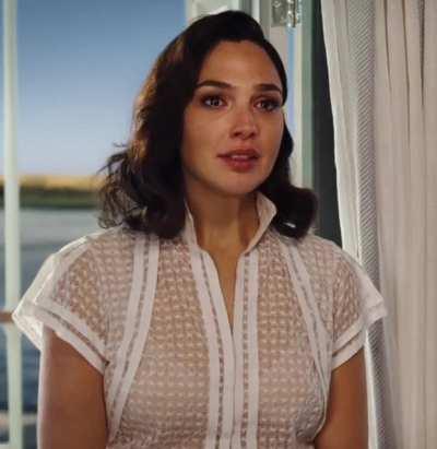 Gal Gadot’s face when a producer starts unzipping his pants during their meeting