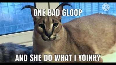 da flopster gloopin off?? 😈😈🙄😤