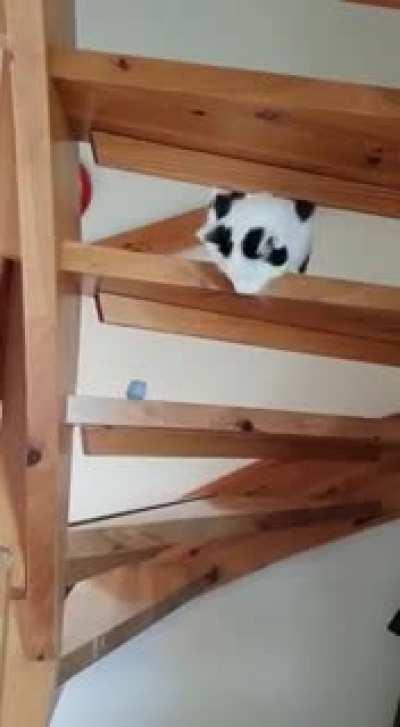 My slugcat refused my pearl