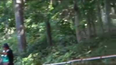 Japanese van rally championship