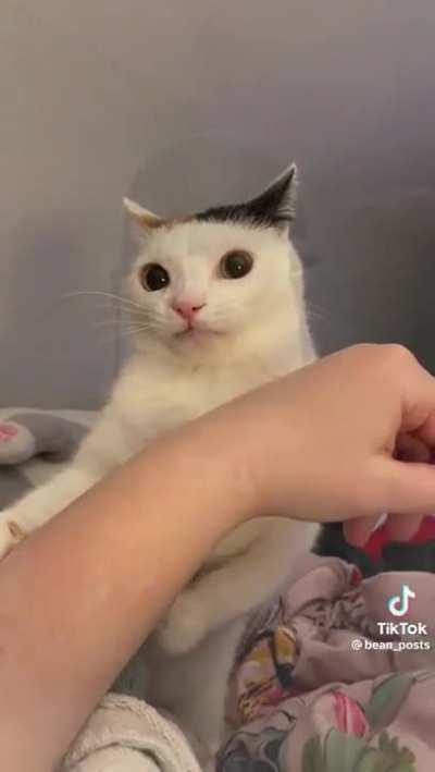 when the taste of her arm reminds you of Omaha Beach in HLL