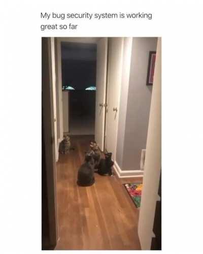 Bug security system works Fine!