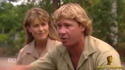 Red Dead Online players 10 minutes into the Naturalist Role: