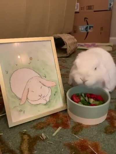 This is my bunny cotton.
