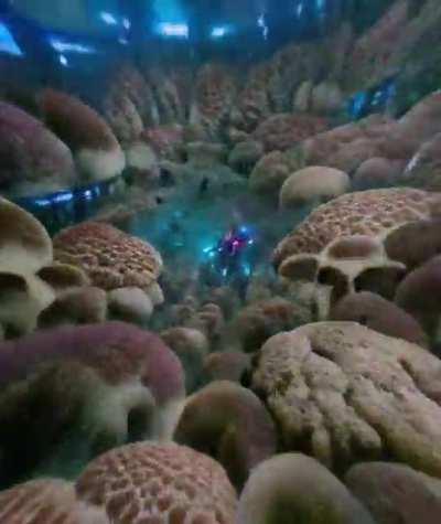 Deep Dive, me/AI model, Digital, 2021