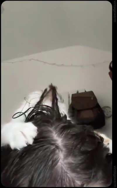 aspiring hair stylist