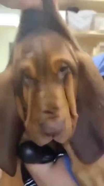 A little help clearing his vision