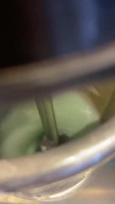 Eu dou a bunda para o matagal