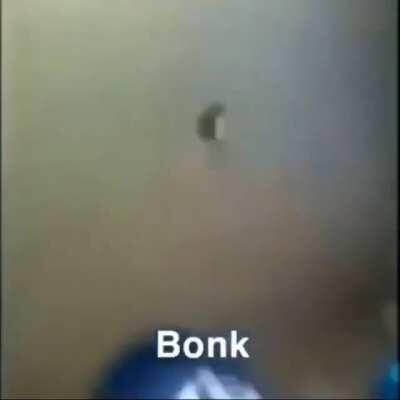 bonk