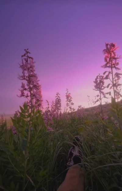 Bro this is pure bliss