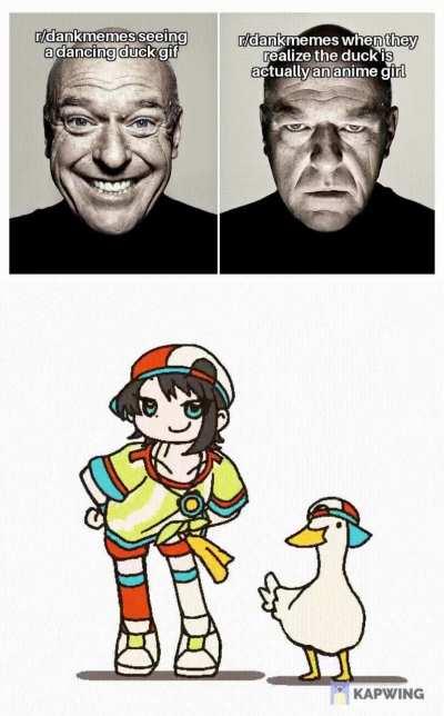 The Shuba Invasion has begun.