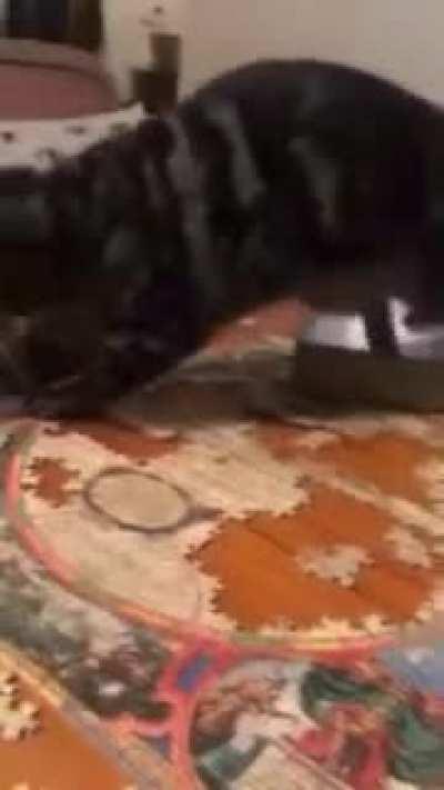 It's okay, I'll start over